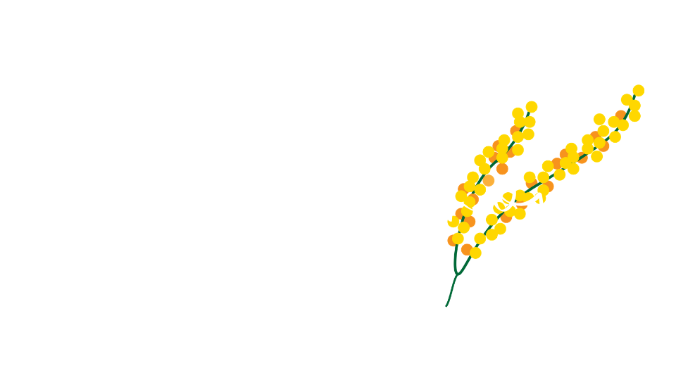 flower*shop